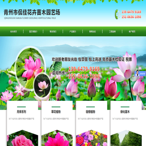 紫藤_凌霄_丛生福禄考_黄栌_宿根草花-青州市侃佳花卉苗木园艺场